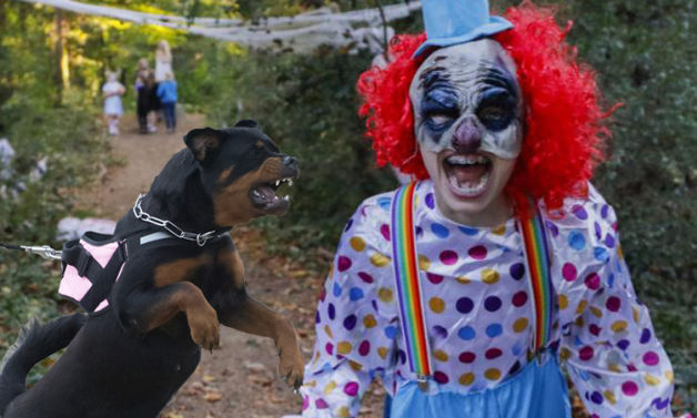 horror-clown-verletzt-schulerin