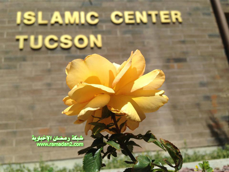 Islam-Center-USA