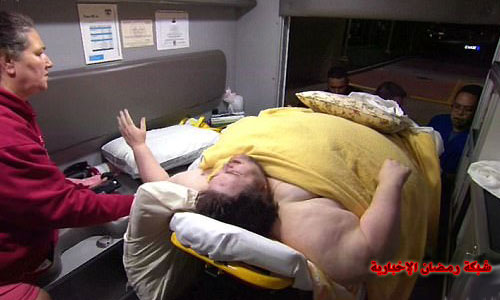 Jamis-usa-sehr-deck8