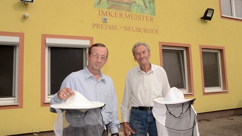 Million-Bienen-Ebreichsdorf-gestohlen
