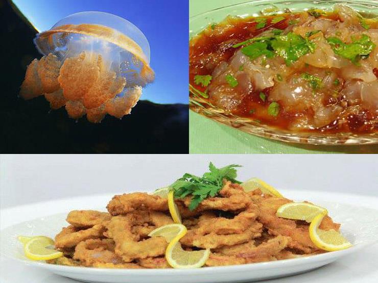 Kanadil-Albajer-Al-See23