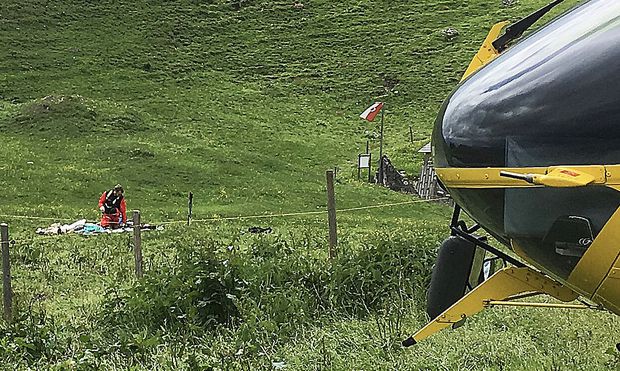 Kuh-Attacke-in-Tirol