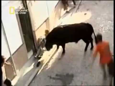 Koh-strang-auf-Strasse