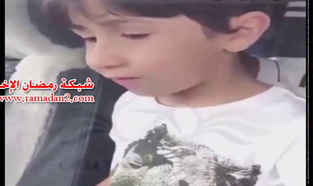 Eg_Kind-Flay-Erklaring