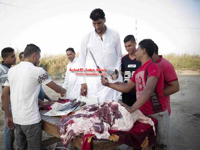 Langeste-Mann.in.Egypt7