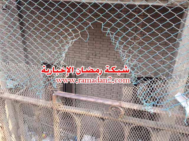 M-Torpwyini-alazbakyia3