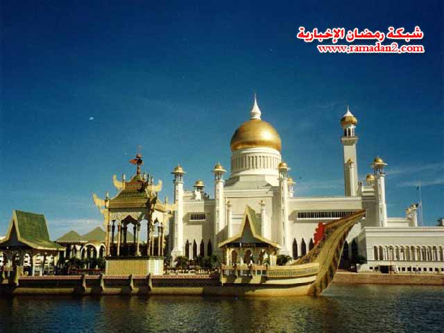 Soltan-Hassan-Bronoy3