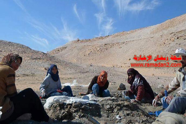 Dinyassor-Endeckt-Eg