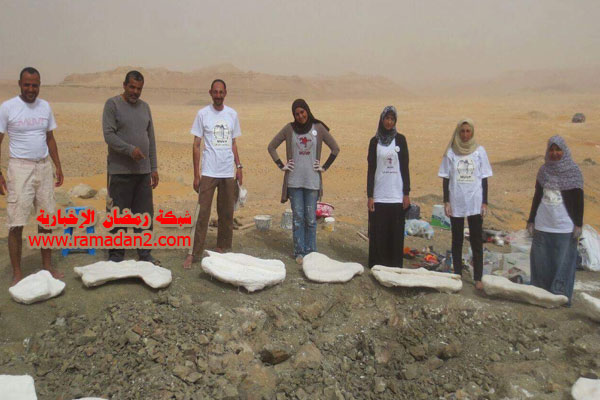 Dinyassor-Endeckt-Eg2