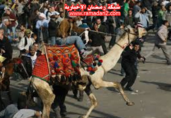 Janer-25-Revelation6