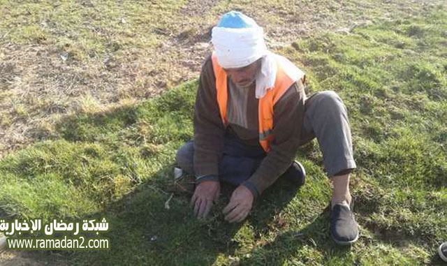 Lehrer-Nach-PV-Garten-mann7