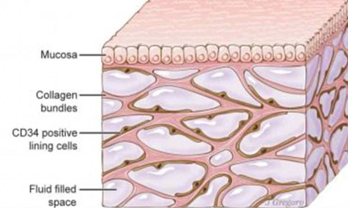 Nau-Endeckt-in-Menschen12