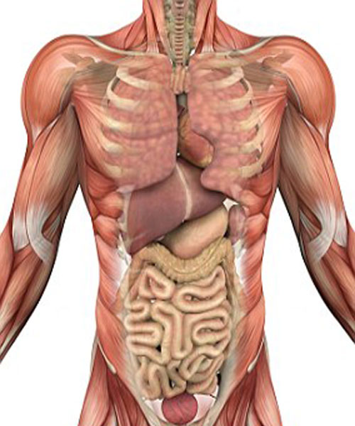 Nau-Endeckt-in-Menschen45
