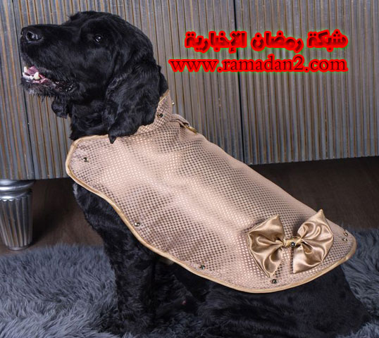 The-$1-million-USD-armored-