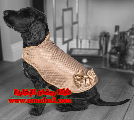 The-$1-million-USD-armored_