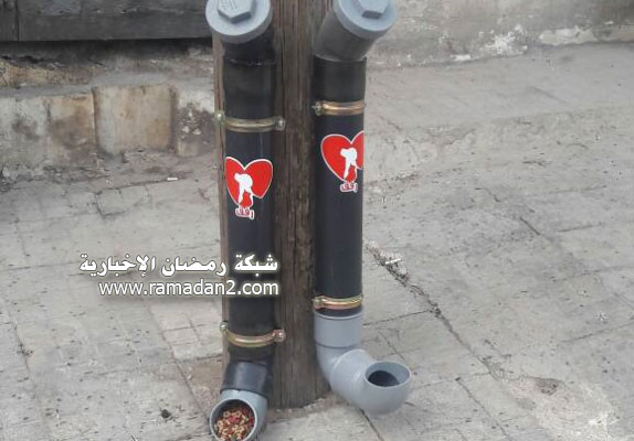 Halab-Syria-Katzen-1