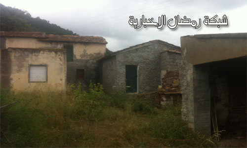 zidane-Algeria-Besuch-4